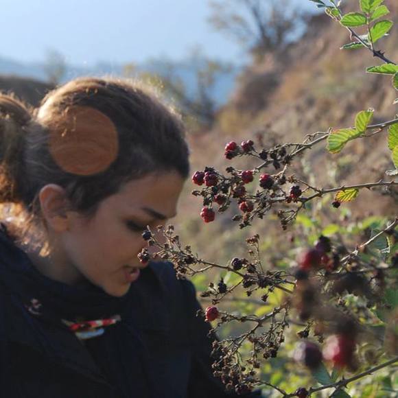 niloofarrajabli